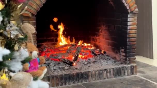 Dekore Edilmiş Yeni Yıl Ağacının Yanındaki Şöminede Yanan Sıcak Ateşin — Stok video