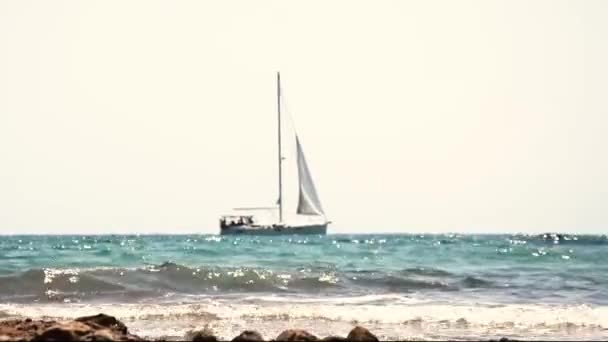 Arka Planda Dalgaların Sakince Kıyıya Yuvarlandığı Rahatlatıcı Bir Görünümün Videosu — Stok video