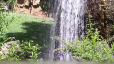 Yaz sıcağında çiçeklerle yeşillikler arasında ferahlatıcı bir şelale, plata. Düşen sular, damlalar ve nehirler güneşte parlıyor.