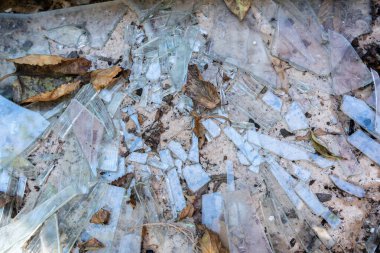 Shards of broken glass on concrete among dry leaves and earth. Shards of a broken window. House destruction. clipart