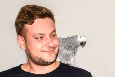 Geniş bir Afrikalı papağan, evin içinde gülen genç bir adamın omzunda oturuyor. İnsan ve hayvan arasındaki aşk, evcil hayvanla ilgilenmek. Bir kuşla oynuyordum. İnsanlar evcil hayvan, hayvan, psittacus, psittacus erithacus