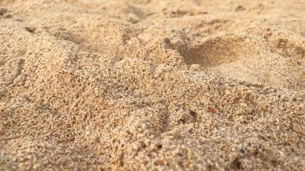 Zoom Close Grãos Areia Praia Cheio Detalhes Câmera Lenta — Vídeo de Stock