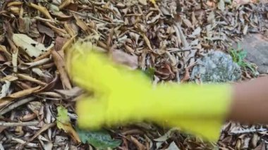 Rio de Janeiro 'da ormanın ortasında çöpleri toplayan sarı eldivenli kızgın bir gönüllüye yakın plan. Brezilya 'daki Atlantik Ormanı. Dünya Günü konsepti.