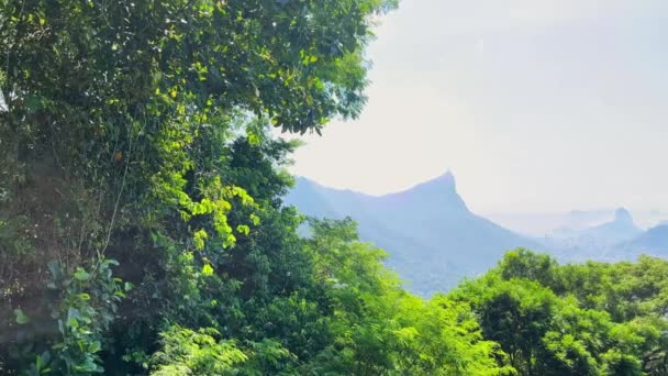 中国の景色からリオ ジャネイロの風景のパノラマビュー クリスト レンデノール シュガーローフ山 ラゴア ロドリゴ フリータス ドイス イルモス — ストック動画