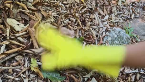 Zbliżenie Ręki Oburzonego Ochotnika Żółtej Rękawiczce Zbierającego Śmieci Środku Lasu — Wideo stockowe