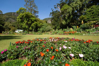 Hakgala Botanik Bahçesi, Nuwara Eliya, Sri Lanka. Sri Lanka 'daki en büyük ikinci botanik bahçesi..