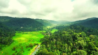 Yeşillik Yeşil Manzara Tepesi Bölgesi
