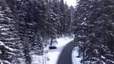 Tek Renkli Minimalist Doğa Karlı Karşılama Kış Görüntüsü