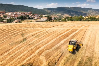 Yazın ve köyde buğday hasadını birleştiren hava manzarası. Torralba del Rio, Navarre, İspanya.