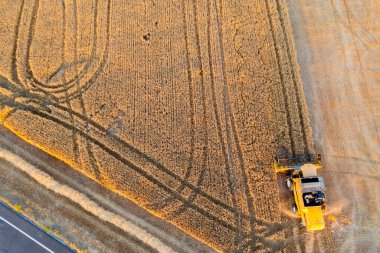 Yazın buğday hasadını birleştiren hava manzarası. Torralba del Rio, Navarre, İspanya.