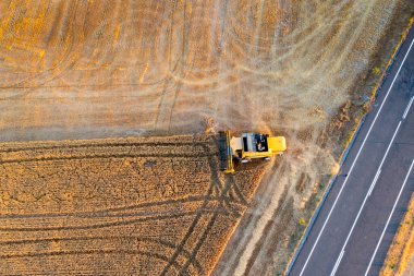 Yazın buğday hasadını birleştiren hava manzarası. Torralba del Rio, Navarre, İspanya.
