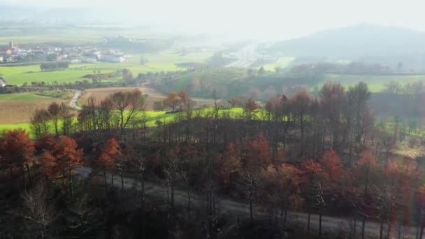 Widok Lotu Płonącego Lasu Legaria Nawarra Hiszpania Europa — Wideo stockowe