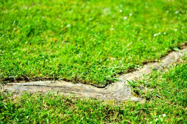 Ahşap takozlu bahçe çimenleri