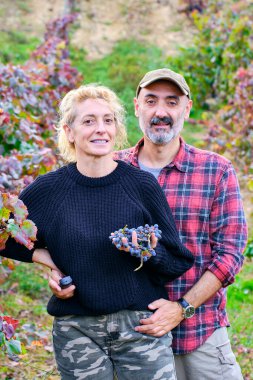 Üzüm bağındaki bir çiftlikte bir demet üzümlü genç çiftçiler. Iguzkiza, Navarre, İspanya, Avrupa.