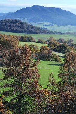 Allin Vadisi 'nde sonbahar manzarası, Navarra, İspanya, turuncu ve kahverengi yapraklı canlı ağaçlar ve yemyeşil alanlar..