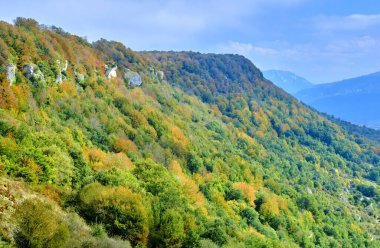 Dağlardaki bereketli sonbahar kayın ağacıyla kaplı yemyeşil bir tepenin manzarası. Urbasa-Andia Doğal Parkı. Navarre, İspanya, Avrupa.