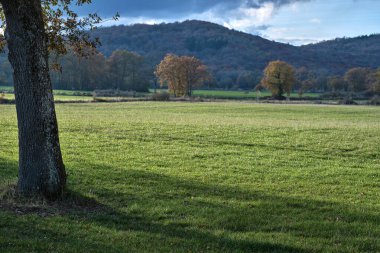 Yeşil çimen tarlaları ve dağınık sonbahar ağaçları ile huzurlu bir kırsal alan, kayan tepelerin ve bulutlu bir gökyüzünün zeminine kuruluyor. Vitoriano, Araba, Bask Ülkesi, İspanya.