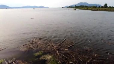 Santoa Bataklıkları Doğal Parkı 'ndaki bataklığın Colindres, Cantabria, İspanya' daki Asn Nehri 'nin ağzındaki sakin bir zaman atlamalı videosu. Video, bataklıklarda yavaşça ilerleyen suları yakalıyor..