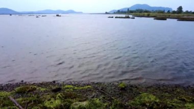 Cantabria, İspanya 'nın Colindres kentindeki Asn Nehri ağzında yer alan Santoa Bataklıkları Doğal Parkı' nın alçak gelgit sürecini kaydeden hızlandırılmış bir video. Video dalga çekildikçe değişen su seviyelerini vurguluyor..