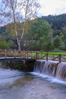 A scenic view of a small waterfall on the Saja River in Cabezon de la Sal, Cantabria, Spain. The image features a charming wooden bridge crossing over the river. clipart