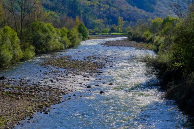 İspanya 'nın Cantabria kentindeki Cabuerniga Vadisi' nden akan Saja Nehri manzarası. Nehrin berrak suları yemyeşil ile çevrili güneş ışığını yansıtır..