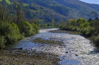 A picturesque view of the Saja River flowing through the Cabuerniga Valley in Cantabria, Spain. The rivers clear waters reflect the sunlight, bordered by lush greenery. clipart