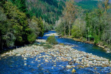 İspanya 'nın Cantabria kentindeki Cabuerniga Vadisi' nden akan Saja Nehri manzarası. Nehirler, yemyeşil sularla çevrili güneş ışığını yansıtır..
