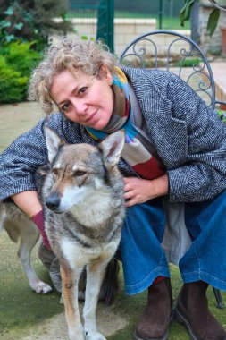 Mature woman cuddling her czechoslovakian wolfdog while sitting on a chair in a garden clipart