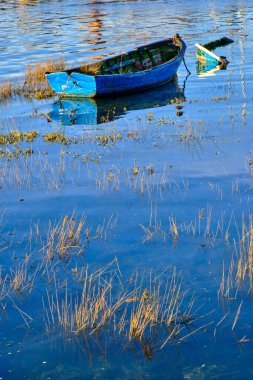 Weathered blue boat surrounded by water and reeds. Colindres, cantabria, spain clipart