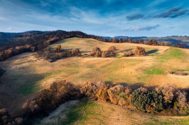 Legarda, Navarre, İspanya 'da, bulutlu bir gökyüzünün altında yanan bir orman ve ağaçtan sonra