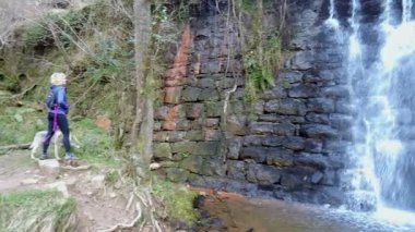 Taş bir duvarın üzerinden taştan bir şelale akan bir kadın köpeğiyle yürüyüşe çıkıyor. Şelale yolu. Esles, Santa Maria de Cayon, Cantabria, İspanya. Yüksek kalite 4k görüntü