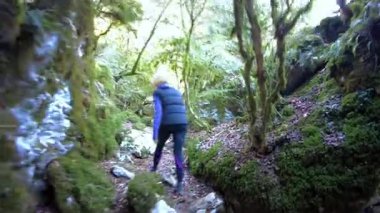 Yoğun bir ormanda dar ve yosunlu bir yolda ilerleyen dişi bir yürüyüşçü. Obantzea vadisi, argüman, Navarre, İspanya. Yüksek kalite 4k görüntü