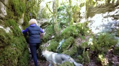 Yürüyüşçü ve köpek ormanda kayalık ve yosunlu bir yol keşfediyorlar. Obantzea vadisi, argüman, Navarre, İspanya. Yüksek kalite 4k görüntü