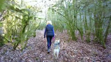Sarışın bir kadın, sakin bir orman yolunda köpeğiyle huzurlu bir yürüyüş yapıyor. Obantzea vadisi, argüman, Navarre, İspanya. Yüksek kalite 4k görüntü