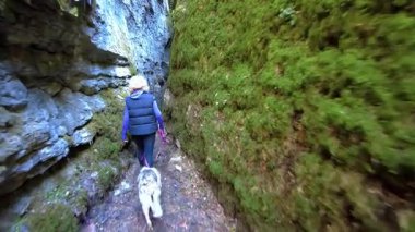 Dar bir kanyonda köpeğiyle yürüyüş yapan bir kadın. Obantzea vadisi, argüman, Navarre, İspanya. Yüksek kalite 4k görüntü