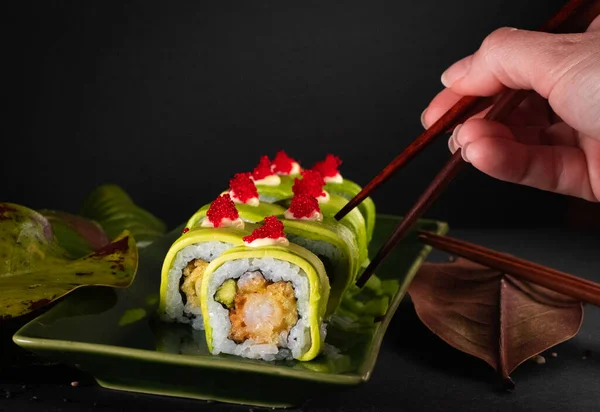 Female hand using chopsticks to pick up a Roll forest Urumaki Japanese sushi , delicious Hawaiian food with black background and decorated green leaves ,for oriental and Asian food restaurant.