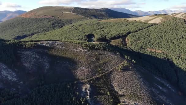 Zdjęcie Lotnicze Drona Lecącego Nad Dużym Lasem Nad Dużą Górą — Wideo stockowe