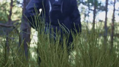  Genç dağcı, çalıların arasından geçerken bir setten aşağı iniyor..