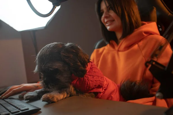Ένα Κορίτσι Gamer Και Σκυλάκι Της Είναι Ευχαριστημένοι Και Κάνουν — Φωτογραφία Αρχείου