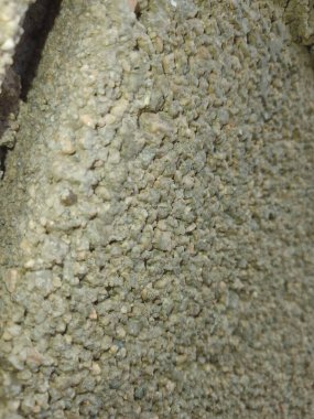 Ekolojik bir binanın modelinin farkına varmak. Dikkat çeken ve merak uyandıran kurumsal detaylar. Projenin merkezi kavramını temsil eden alışılmadık materyaller, çarpıcı dokular, ışıklandırma efektleri veya sembolik öğeler kullan.