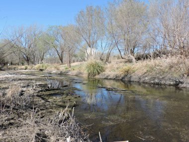 Arjantin 'deki gizli kasabaları keşfetmek, hayatın daha sakin bir temposunu soluyabilir ve gelenek ve konukseverliğin hala devam ettiği doğayla bağlantı kurabilirsiniz..
