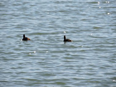 Arjantin 'deki gizli kasabaları keşfetmek, hayatın daha sakin bir temposunu soluyabilir ve gelenek ve konukseverliğin hala devam ettiği doğayla bağlantı kurabilirsiniz..