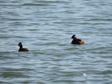Arjantin 'deki gizli kasabaları keşfetmek, hayatın daha sakin bir temposunu soluyabilir ve gelenek ve konukseverliğin hala devam ettiği doğayla bağlantı kurabilirsiniz..