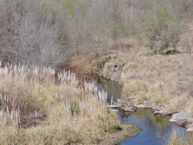 Arjantin 'deki gizli kasabaları keşfetmek, hayatın daha sakin bir temposunu soluyabilir ve gelenek ve konukseverliğin hala devam ettiği doğayla bağlantı kurabilirsiniz..