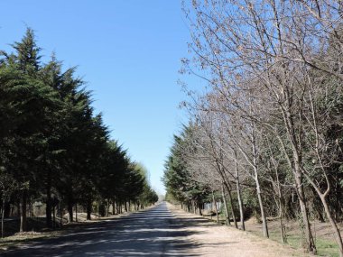 Arjantin 'deki gizli kasabaları keşfetmek, hayatın daha sakin bir temposunu soluyabilir ve gelenek ve konukseverliğin hala devam ettiği doğayla bağlantı kurabilirsiniz..