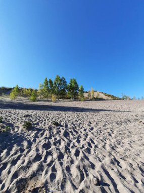 Dunes, Lakes ve SunsetsA arasında Pinamar 'ın en güzel manzaralarının görsel turu geniş plajlarından, kumullarından dingin göllerine ve sıcak günbatımlarına kadar..