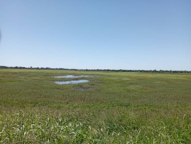 Iguazu Şelaleleri 'nin gücü ve güzelliğinde duyusal bir yolculuk. Şeytanın Boğazı 'nın heybetli kükremesinden, alt kısımlardaki deriyi okşayan ferahlatıcı buza kadar, her köşe doğanın yüce gücünü hatırlatır.