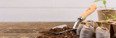 Potted flower seedlings growing in biodegradable peat moss pots. Zero waste, recycling, plastic free gardening concept banner.