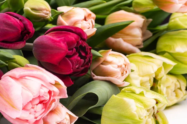 Elegant Mixed Tulips Spring Bouquet Close Spring Tulips Tulips Bouquet — Stock Photo, Image