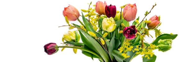 Elegante Ramo Primavera Tulipanes Mixtos Jarrón Blanco Sobre Pancarta Blanca —  Fotos de Stock
